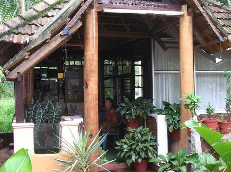 פנסיון Jicky S Nest