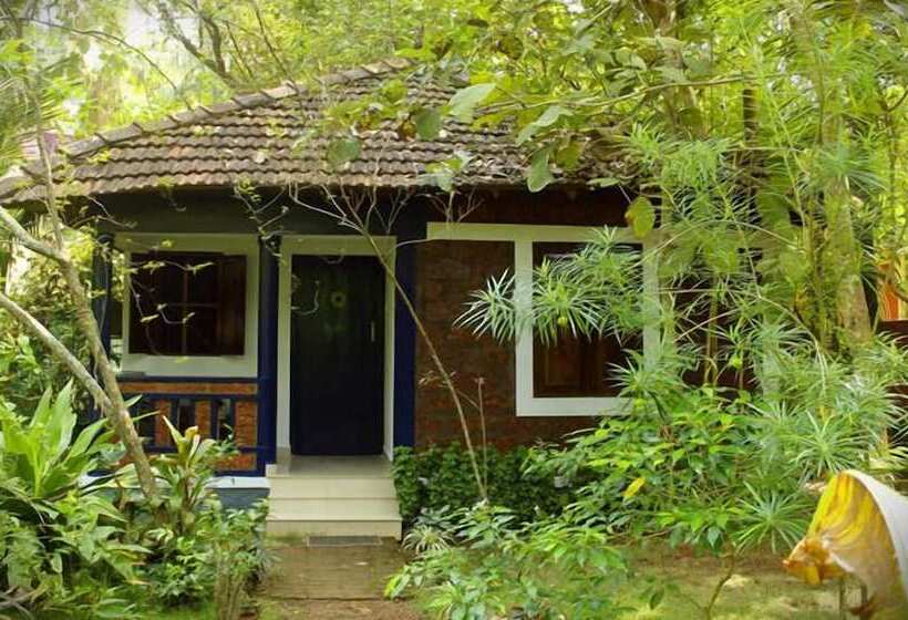 פנסיון Jicky S Nest