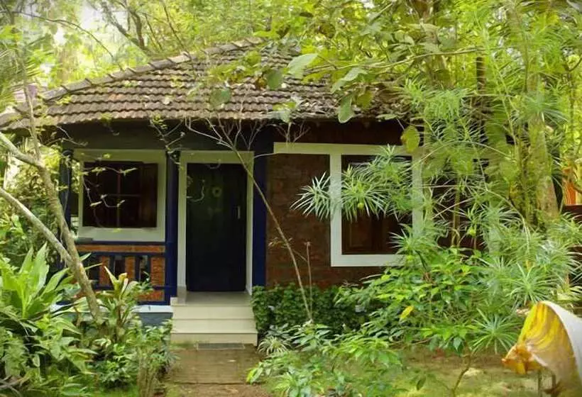 Pensão Jicky S Nest