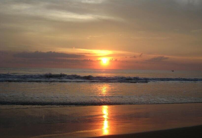 פנסיון Jicky S Nest