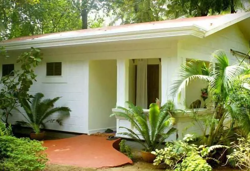 Pensão Jicky S Nest