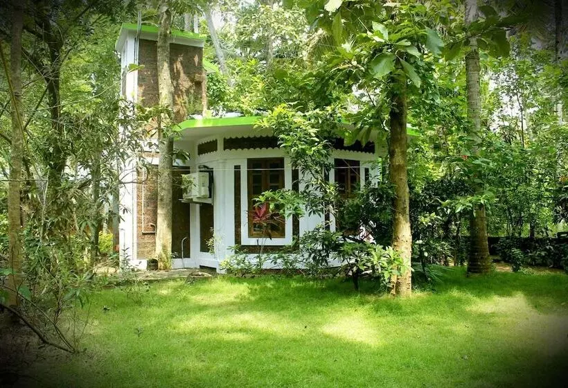 Pensão Jicky S Nest