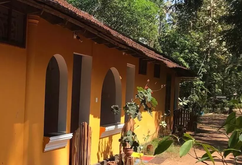 Pensão Jicky S Nest