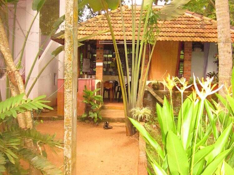 פנסיון Jicky S Nest