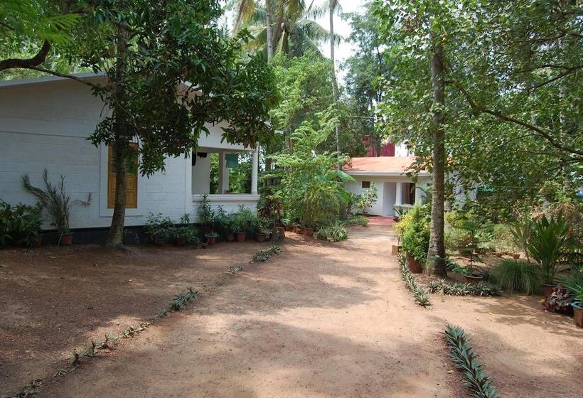 פנסיון Jicky S Nest