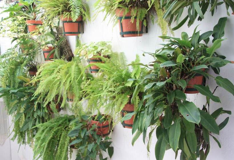 Amapas Apartments Puerto Vallarta