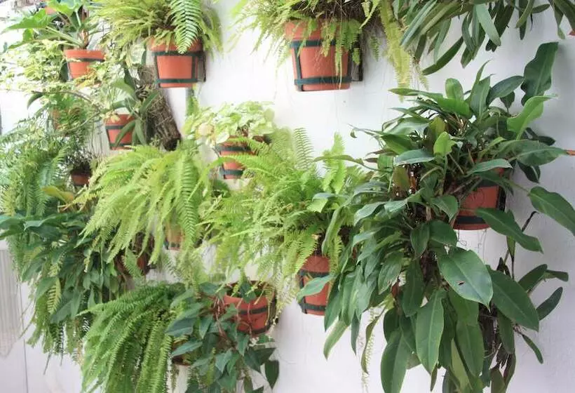 Amapas Apartments Puerto Vallarta