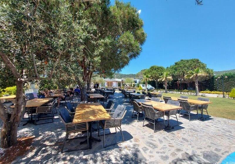 Assos Barbarossa Hotel   Special Class