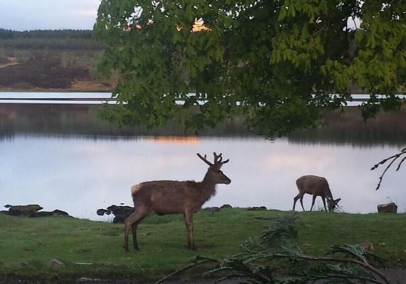 민박 Altnacealgach Motel