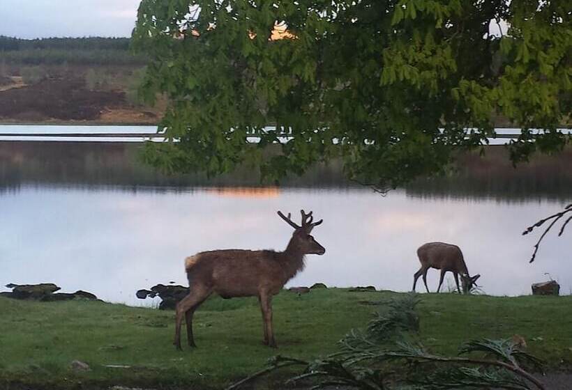 민박 Altnacealgach Motel