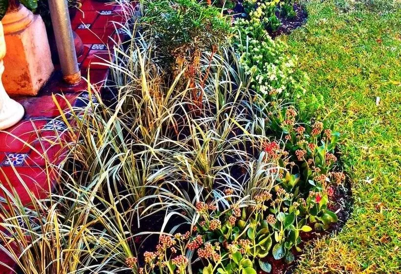 Casa Chikita Bed & Breakfast