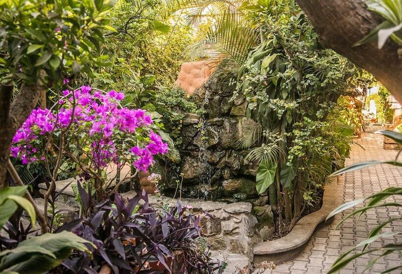 Отель Casa Arnel