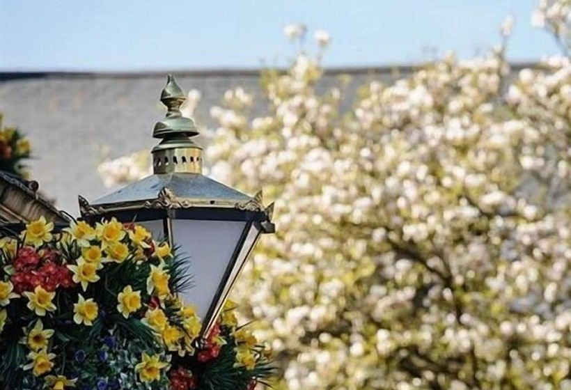 ホテル George Inn