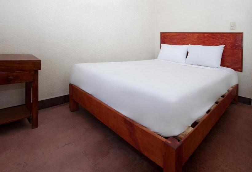 فندق Posada Cocos