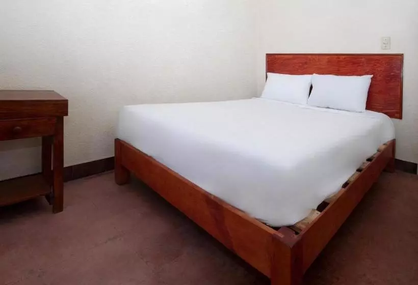 ホテル Posada Cocos