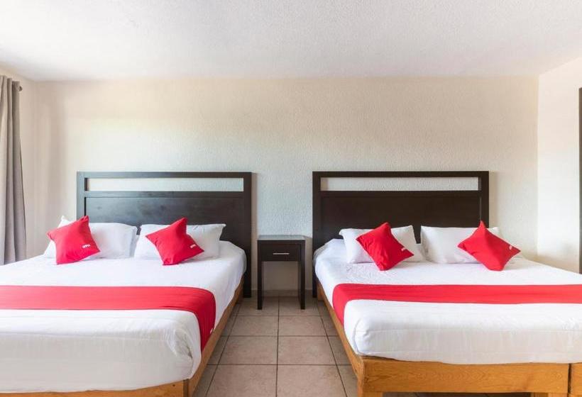 בית מלון כפרי Real Dorado