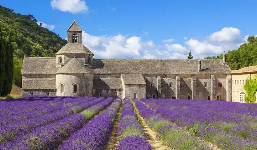 Le Mas Des Quintrands Manosque Motel De Charme