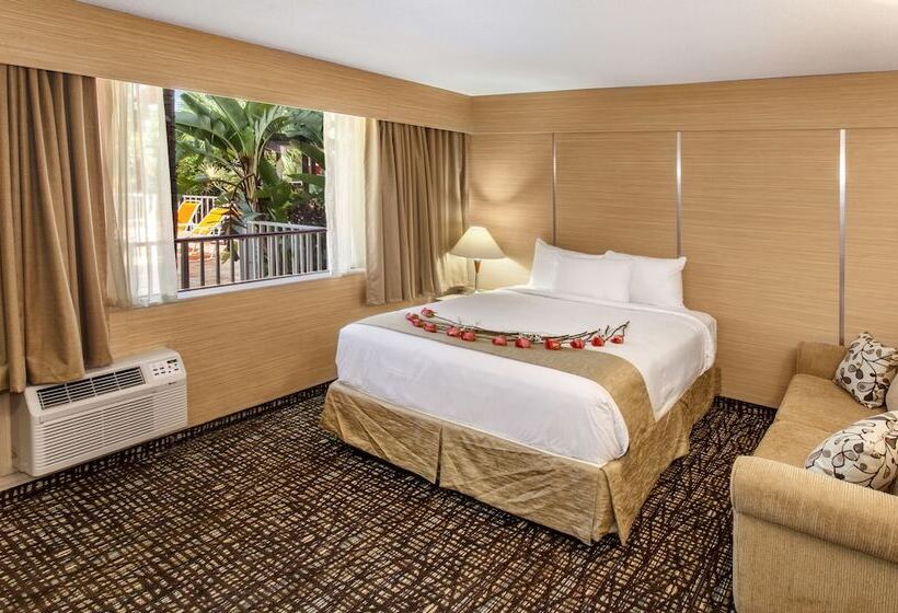 فندق على الطريق Ocean Beach Palace