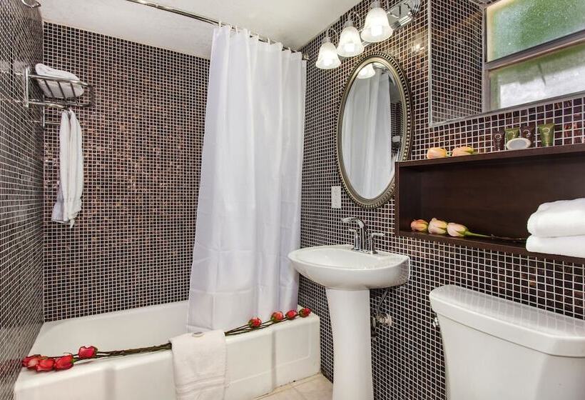 فندق على الطريق Ocean Beach Palace