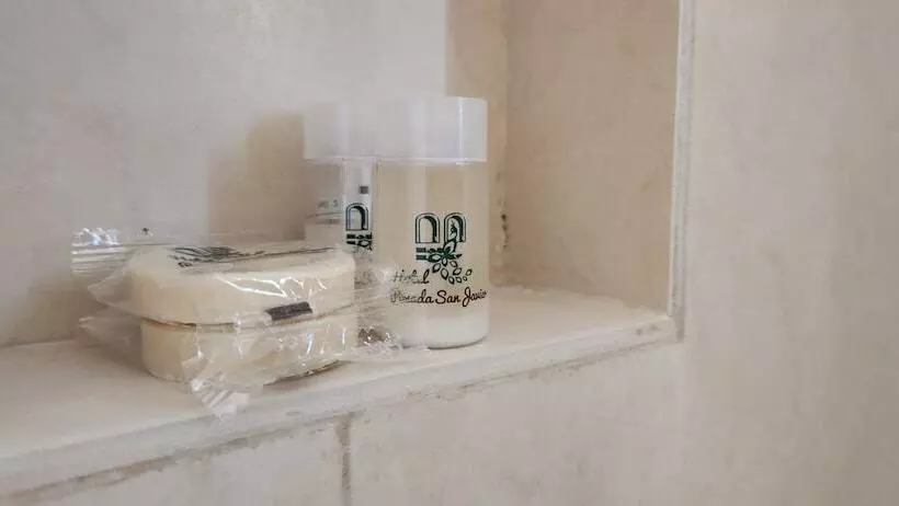 Pensione Posada San Javier