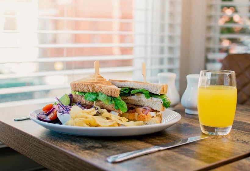 بنسيون The Maynard