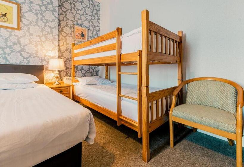 بنسيون The Maynard