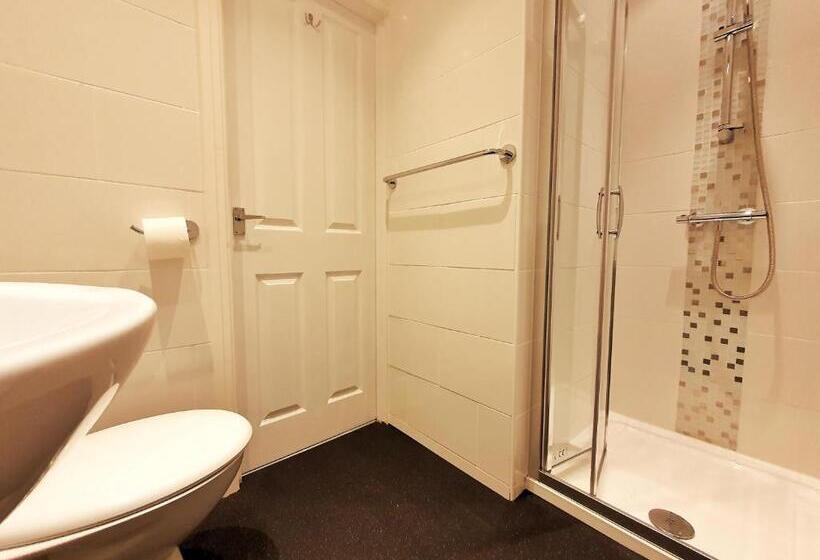 بنسيون The Maynard