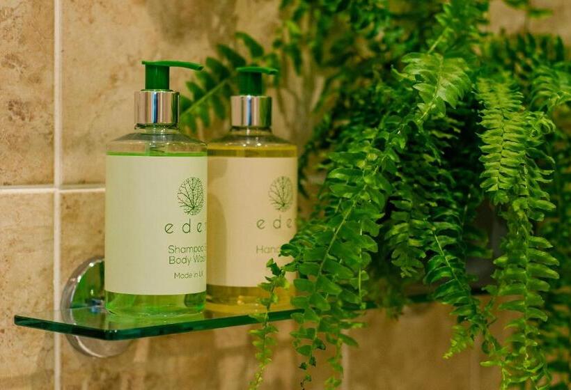 بنسيون The Maynard