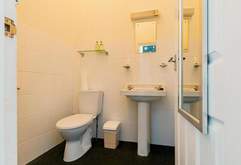 بنسيون The Maynard