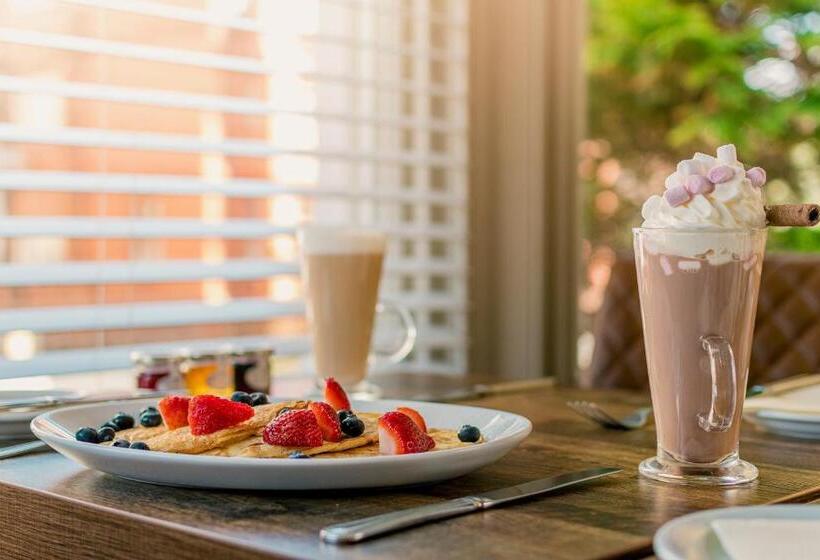 بنسيون The Maynard