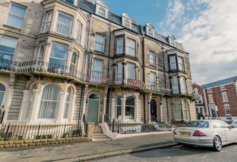 بنسيون The Maynard