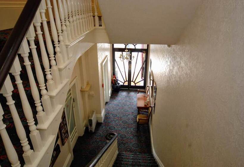 بنسيون The Maynard