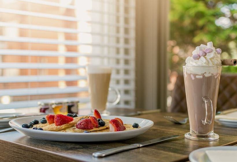 بنسيون The Maynard