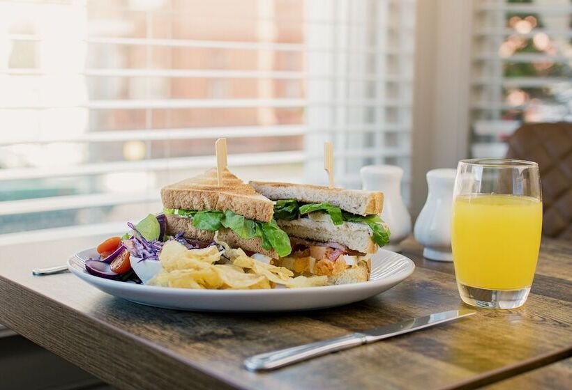 بنسيون The Maynard