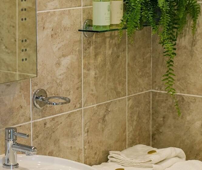 بنسيون The Maynard