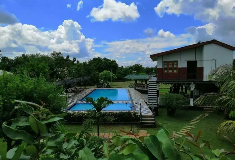 Eco Hotel Black & White   Anuradhapura