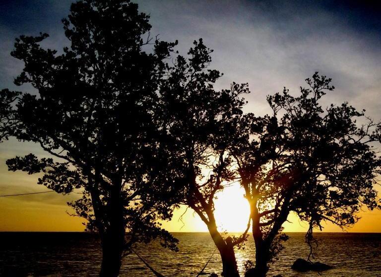 بنسيون Gasa Sea Park   Traveller S Inn