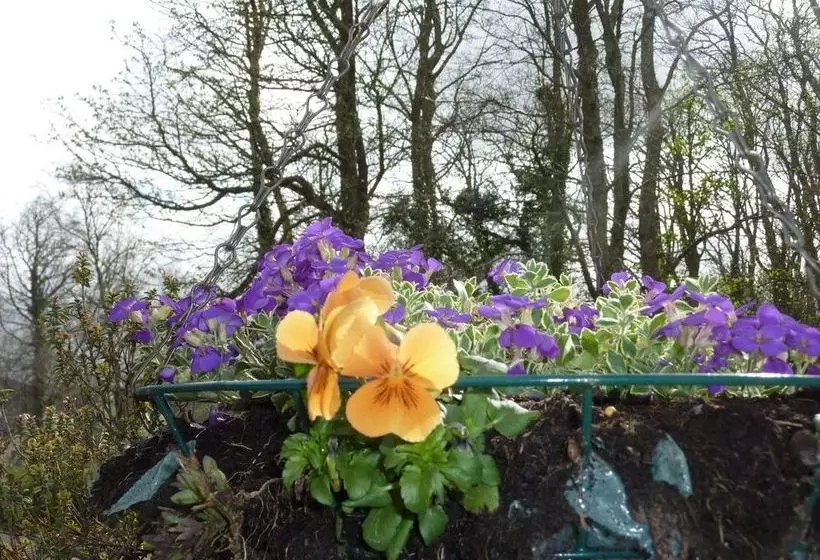 Conusg Bed And Breakfast