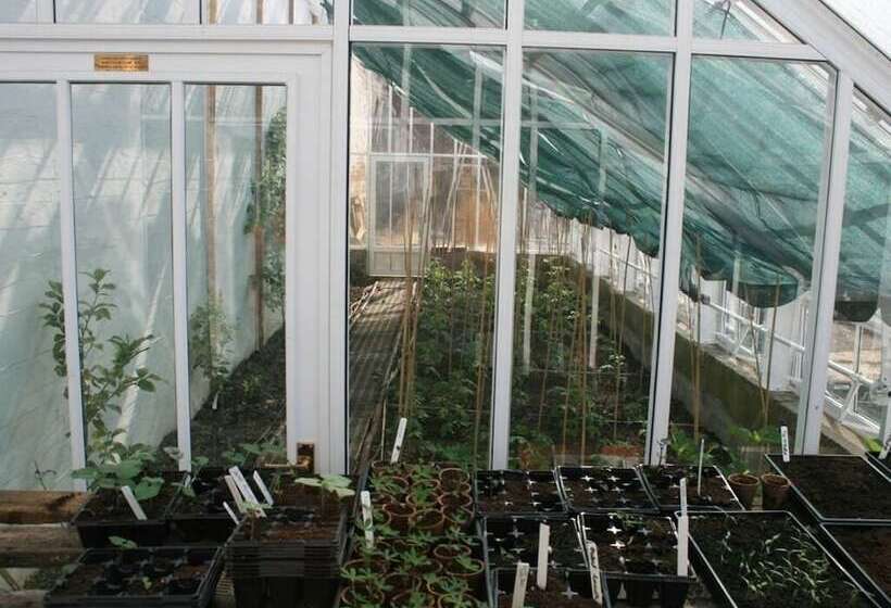 مبيت وإفطار Burnhopeside Hall