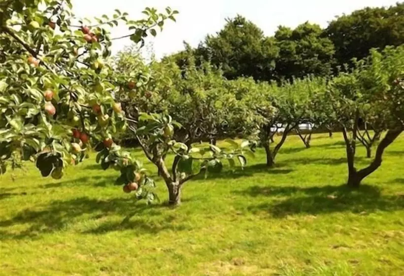 Bed and Breakfast Cider Cottages
