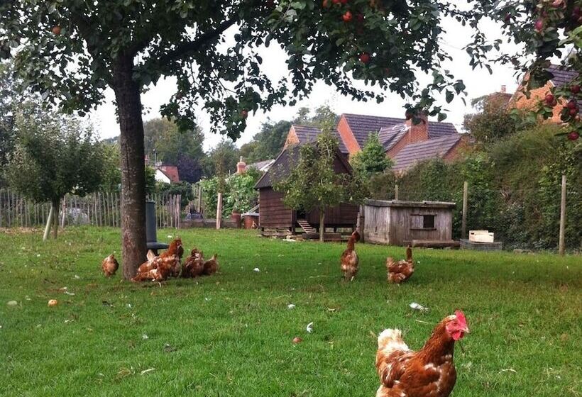 Bed and Breakfast Cider Cottages