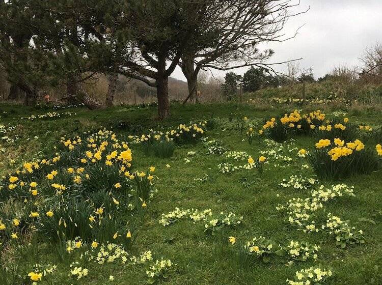 ベッドアンドブレックファースト Lisle Combe