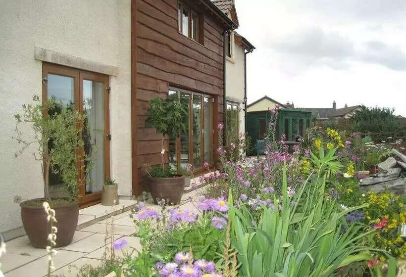 Hotel Cames Mead B&b Meare Green Farm