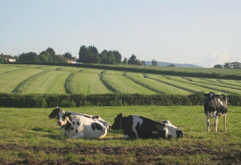 בית מלון כפרי Cames Mead B&b Meare Green Farm