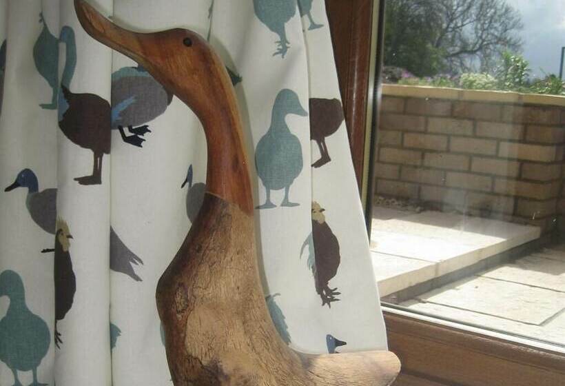 בית מלון כפרי Cames Mead B&b Meare Green Farm