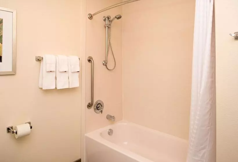 Отель Candlewood Suites Carlsbad South By Ihg