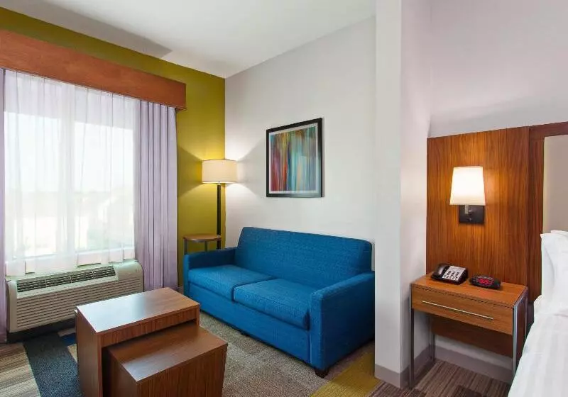 ホテル Holiday Inn Express & Suites Houston S   Medical Ctr Area, An Ihg