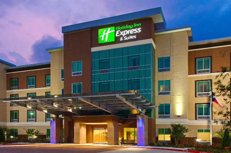ホテル Holiday Inn Express & Suites Houston S   Medical Ctr Area, An Ihg