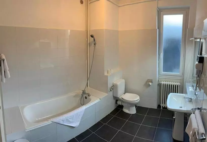 Отель Hôtel Restaurant Le Lion D Or