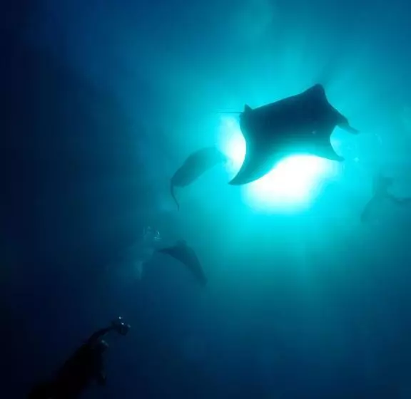 호텔 Siddhartha Oceanfront Resort & Spa Bali